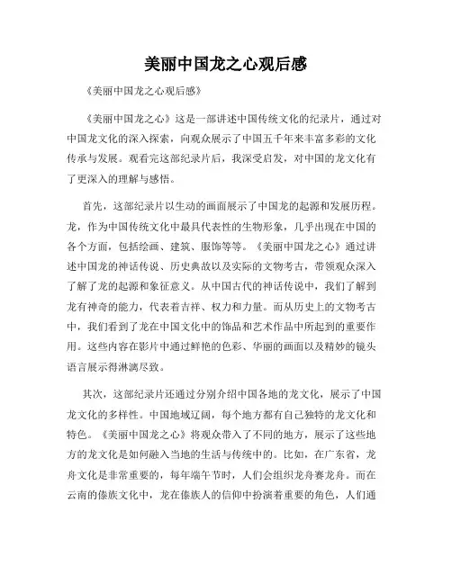 美丽中国龙之心观后感