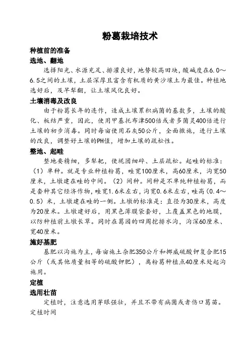 粉葛栽培