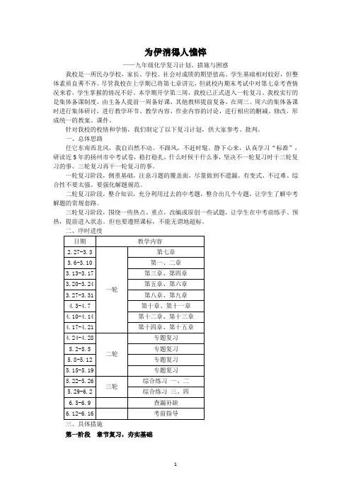 为伊消得人憔悴-初三化学复习计划、措施与困惑