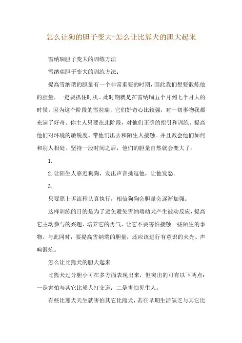 怎么让狗的胆子变大-怎么让比熊犬的胆大起来