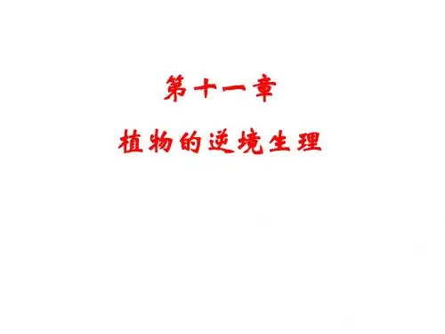 植物的逆境生理第11章