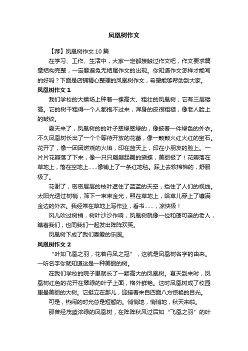 凤凰树作文