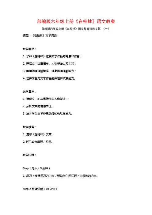 部编版六年级上册《在柏林》语文教案2篇
