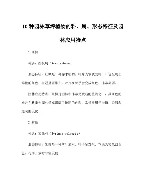 10种园林草坪植物的科、属、形态特征及园林应用特点