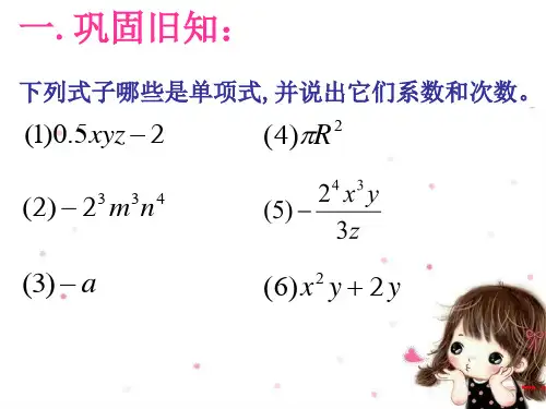 多项式课件