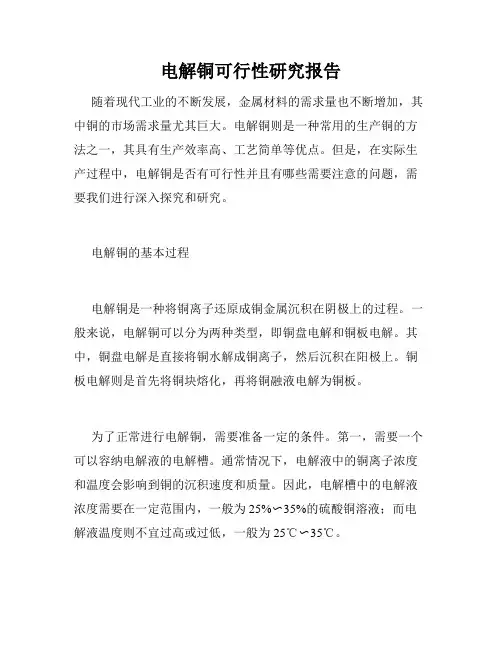 电解铜可行性研究报告