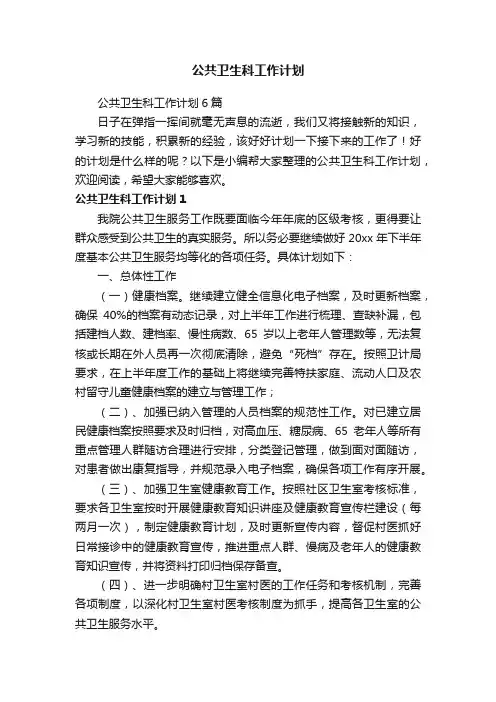 公共卫生科工作计划6篇