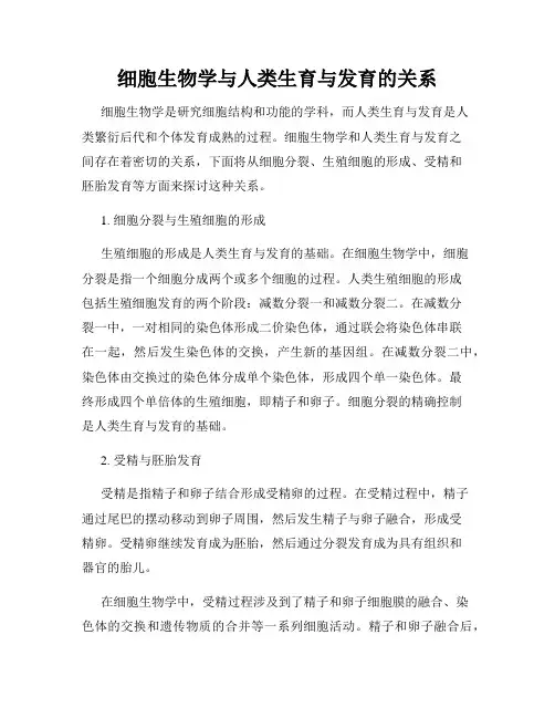 细胞生物学与人类生育与发育的关系