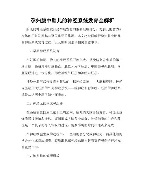 孕妇腹中胎儿的神经系统发育全解析