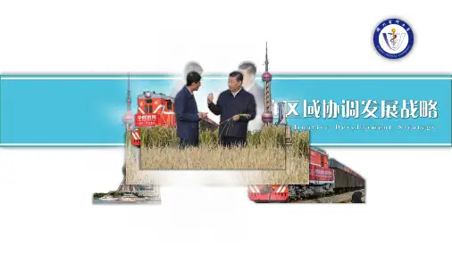 区域协调发展战略