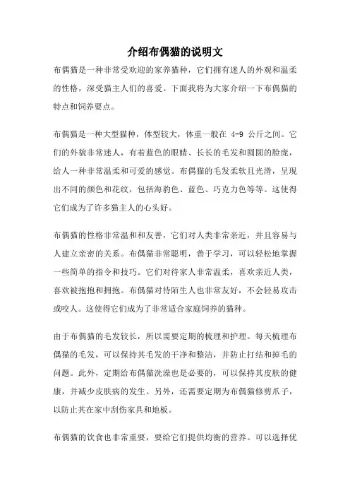 介绍布偶猫的说明文