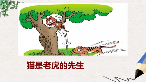 【推荐】最新版三年级语文上册《猫是老虎的先生》课件1
