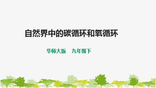 华师大九年级科学下册第3章第2节自然界中的碳循环和氧循环 课件