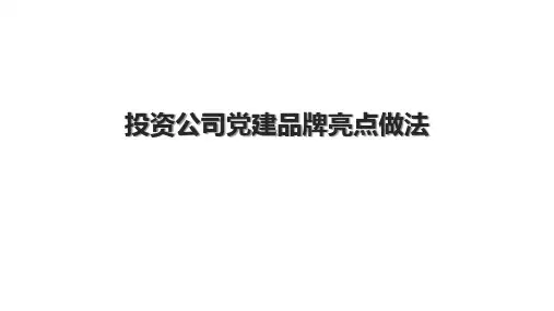 投资公司党建品牌亮点做法