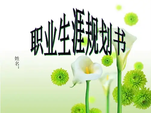 环境艺术设计职业规划书精品PPT课件