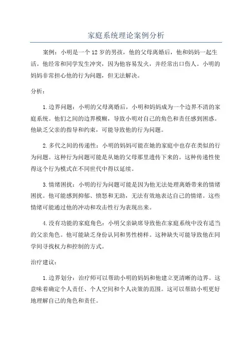 家庭系统理论案例分析