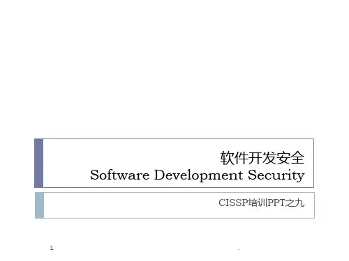 软件开发安全PPT课件