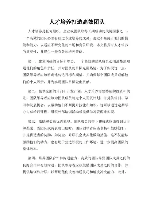 人才培养打造高效团队