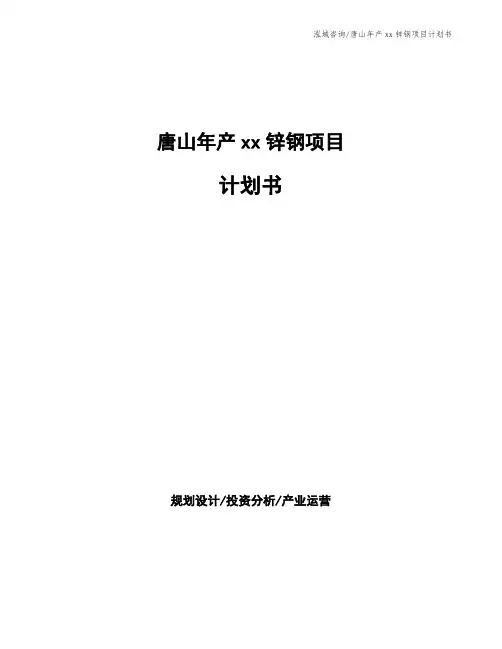 唐山年产xx锌钢项目计划书