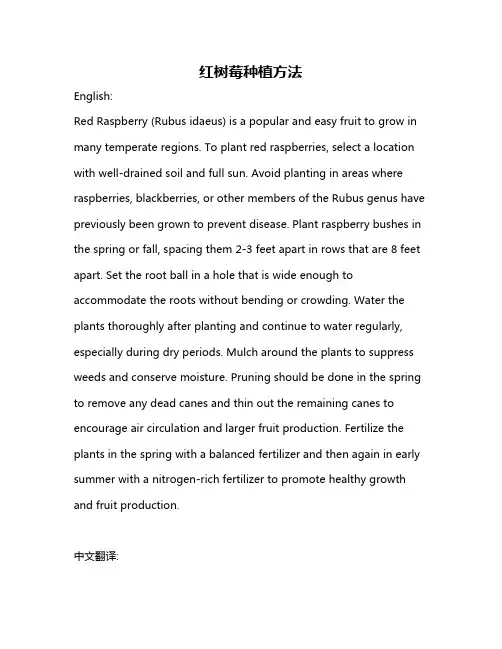 红树莓种植方法