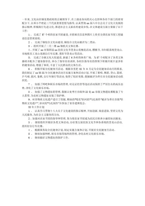 2020年文化站个人工作总结.docx
