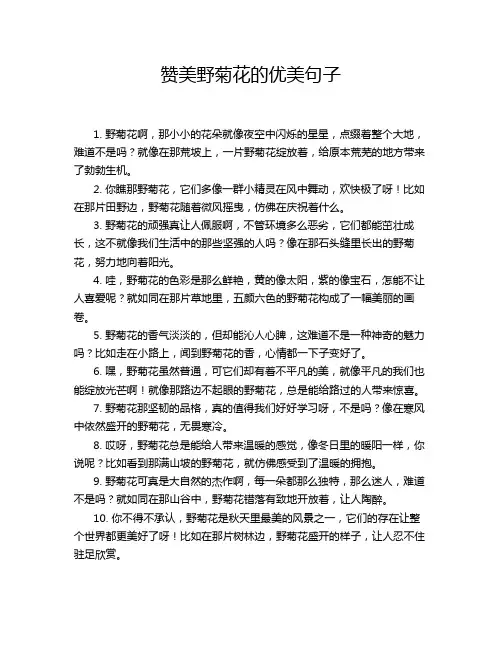 赞美野菊花的优美句子