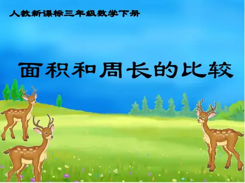 三年级下册《面积和周长的比较》PPT新人教版