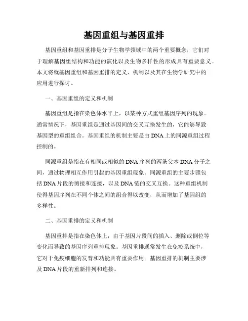 基因重组与基因重排