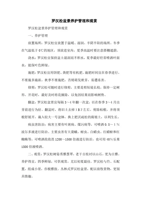 罗汉松盆景养护管理和观赏