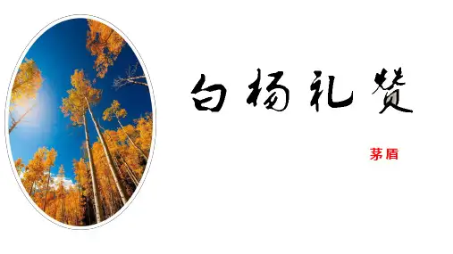 《白杨礼赞》ppt课件