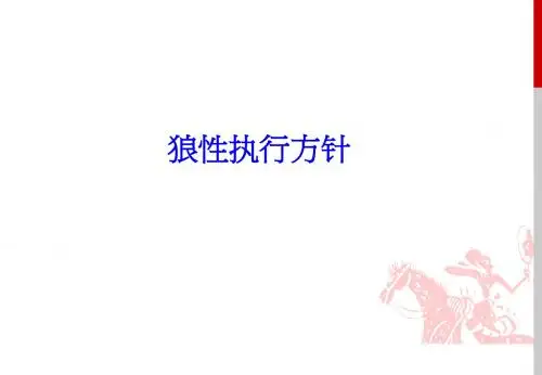 狼性执行方针
