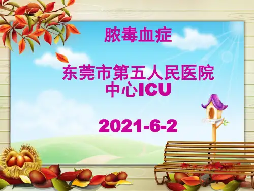 脓毒血症的护理措施疾病ppt