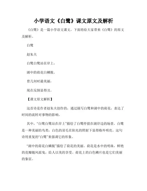 小学语文《白鹭》课文原文及解析