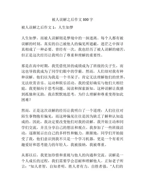 被人误解之后作文800字