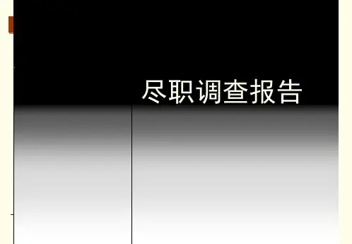 企业工作尽职调查报告