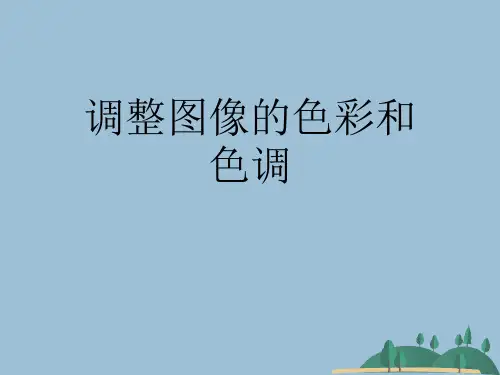 调整图像的色彩和色调
