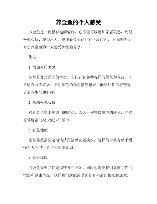 养金鱼的个人感受