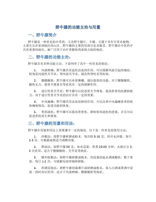 野牛膝的功能主治与用量