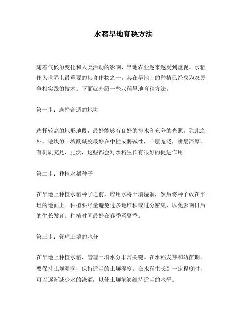 水稻旱地育秧方法