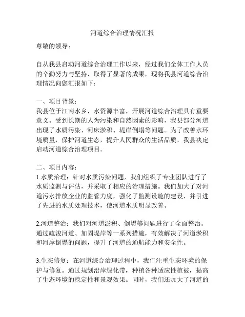 河道综合治理情况汇报