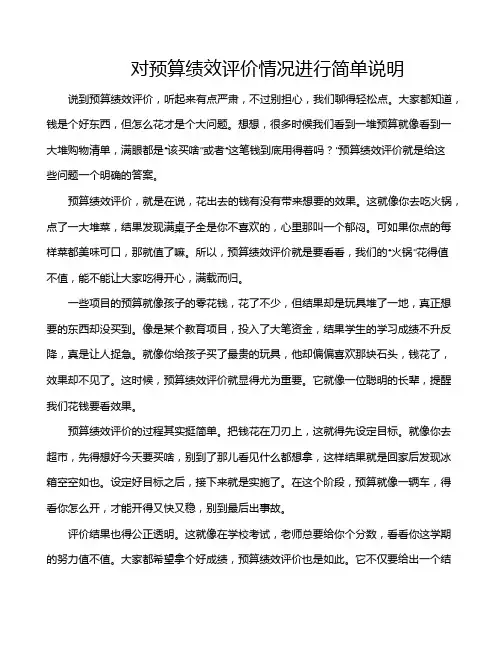 对预算绩效评价情况进行简单说明