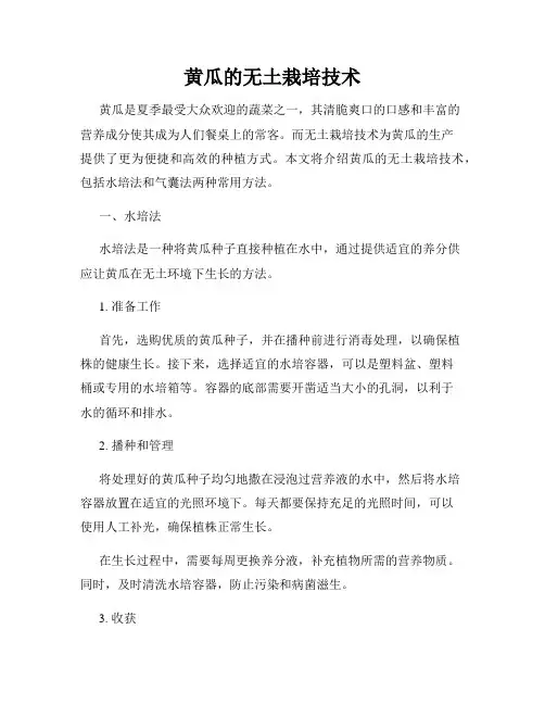 黄瓜的无土栽培技术