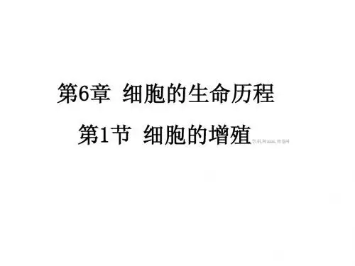 人教版教学课件河北省石家庄一中2012-2013学年高一生物《61 细胞的增殖》课件(新人教版必修1)