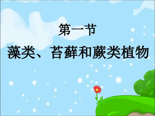 藻类、苔藓和蕨类植物_实用课件1