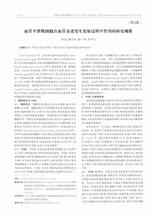 血管平滑肌细胞在血管衰老发生发展过程中作用的研究现状
