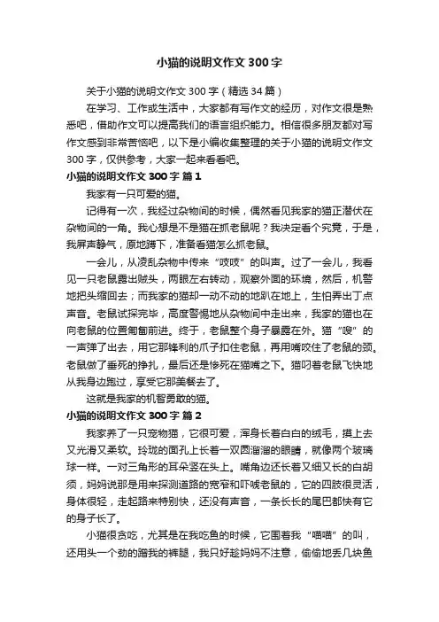 关于小猫的说明文作文300字（精选34篇）