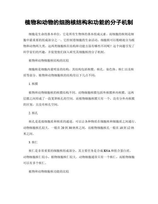 植物和动物的细胞核结构和功能的分子机制