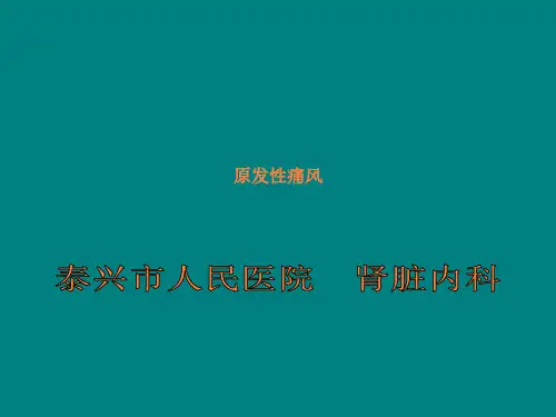 痛风与痛风性肾病ppt课件
