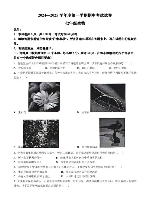 2024-2025学年七年级上学期期中生物试题