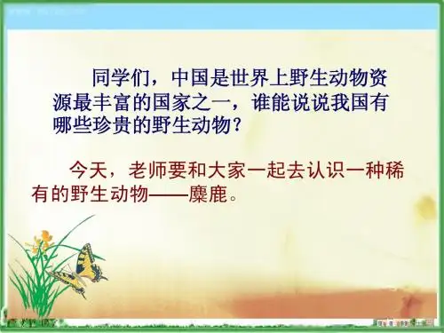 苏教版小学语文六年级上册《麋鹿》